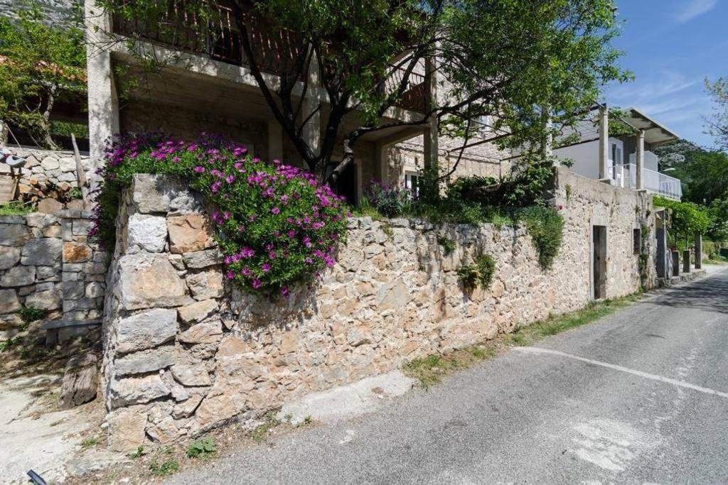 Apartments Felix Babino Polje Εξωτερικό φωτογραφία